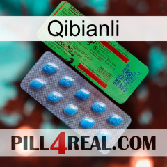 Qibianli new03